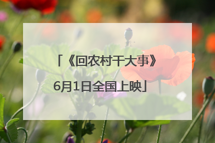《回农村干大事》6月1日全国上映