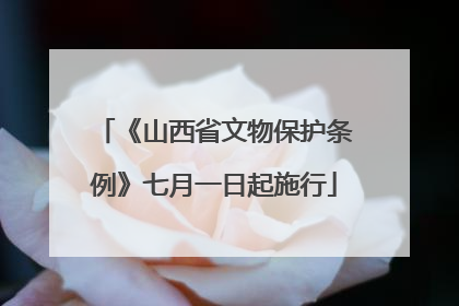 《山西省文物保护条例》七月一日起施行