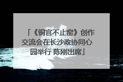 《铜官不止窑》创作交流会在长沙政协同心园举行 陈刚出席