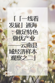 「一线看发展」通海：做足特色 做优产业——云南县域经济样本观察之二