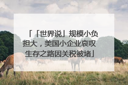「世界说」规模小负担大，美国小企业哀叹生存之路因关税被堵