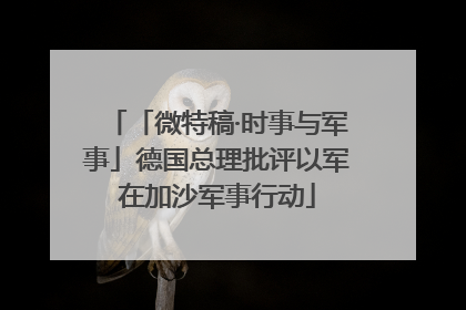「微特稿·时事与军事」德国总理批评以军在加沙军事行动