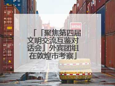 「聚焦第四届文明交流互鉴对话会」外宾团组在敦煌市考察