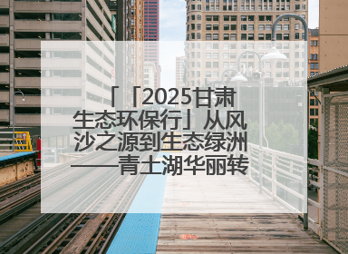 「2025甘肃生态环保行」从风沙之源到生态绿洲——青土湖华丽转身书写生态新篇