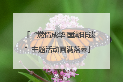 “燃情成华·国潮非遗”主题活动圆满落幕