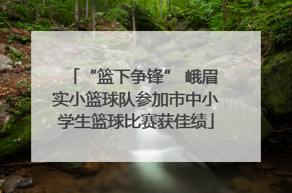 “篮下争锋” 峨眉实小篮球队参加市中小学生篮球比赛获佳绩