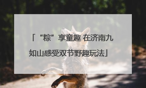 “粽”享童趣 在济南九如山感受双节野趣玩法