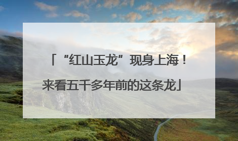 “红山玉龙”现身上海！来看五千多年前的这条龙