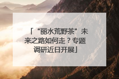 “丽水荒野茶”未来之路如何走？专题调研近日开展