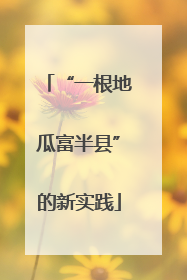 “一根地瓜富半县”的新实践
