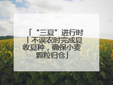 “三夏”进行时丨不误农时完成夏收夏种，确保小麦颗粒归仓