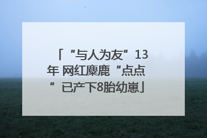 “与人为友”13年 网红麋鹿“点点”已产下8胎幼崽