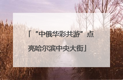 “中俄华彩共游”点亮哈尔滨中央大街