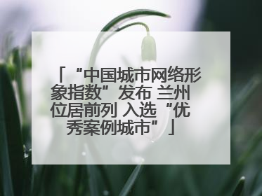 “中国城市网络形象指数”发布 兰州位居前列 入选“优秀案例城市”