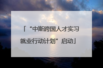 “中斯跨国人才实习就业行动计划”启动