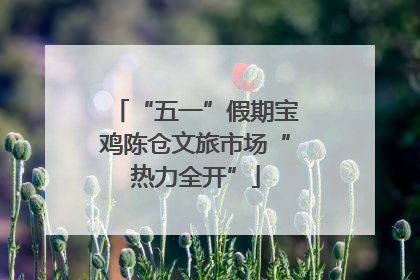 “五一”假期宝鸡陈仓文旅市场“热力全开”