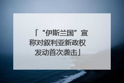 “伊斯兰国”宣称对叙利亚新政权发动首次袭击