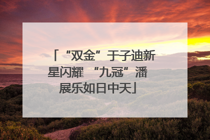 “双金”于子迪新星闪耀 “九冠”潘展乐如日中天