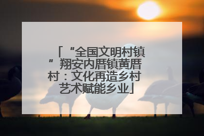 “全国文明村镇”翔安内厝镇黄厝村：文化再造乡村 艺术赋能乡业