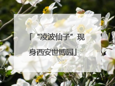 “凌波仙子”现身西安世博园