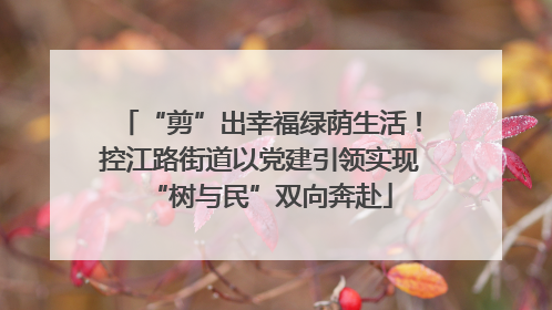 “剪”出幸福绿荫生活！控江路街道以党建引领实现“树与民”双向奔赴