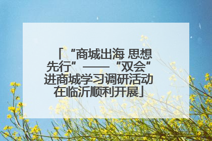 “商城出海 思想先行”——“双会”进商城学习调研活动在临沂顺利开展