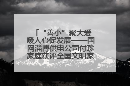 “善小”聚大爱 暖人心促发展——国网淄博供电公司付珍家庭获评全国文明家庭背后的文明密码