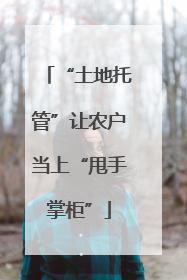 “土地托管”让农户当上“甩手掌柜”