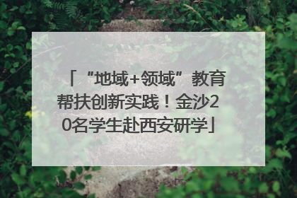 “地域+领域”教育帮扶创新实践！金沙20名学生赴西安研学
