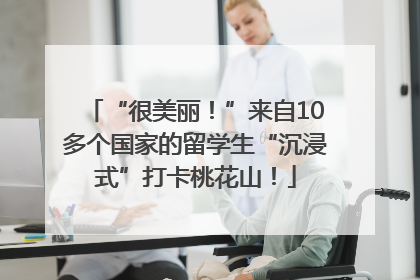 “很美丽！”来自10多个国家的留学生“沉浸式”打卡桃花山！