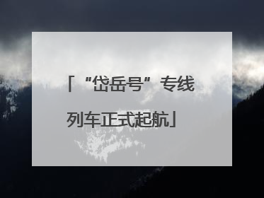 “岱岳号”专线列车正式起航