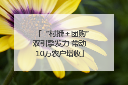 “村播＋团购”双引擎发力 带动10万农户增收