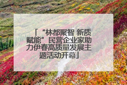“林都聚智 新质赋能”民营企业家助力伊春高质量发展主题活动开幕