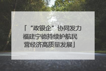 “政银企”协同发力 福建宁德持续护航民营经济高质量发展