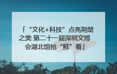 “文化+科技”点亮荆楚之美 第二十一届深圳文博会湖北馆抢“鲜”看