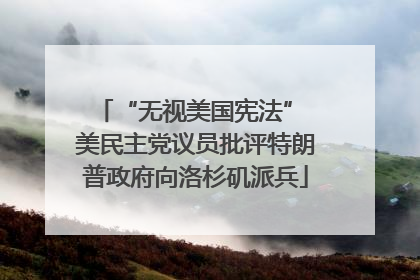 “无视美国宪法” 美民主党议员批评特朗普政府向洛杉矶派兵