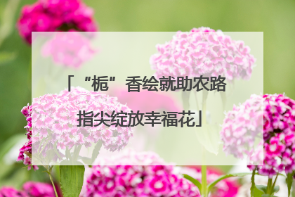 “栀”香绘就助农路 指尖绽放幸福花