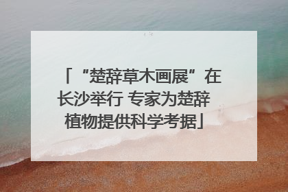 “楚辞草木画展”在长沙举行 专家为楚辞植物提供科学考据