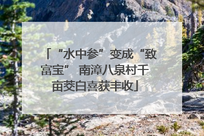 “水中参”变成“致富宝” 南漳八泉村千亩茭白喜获丰收