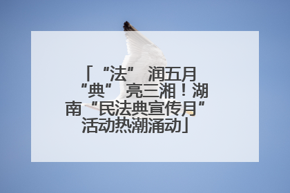 “法” 润五月 “典” 亮三湘！湖南“民法典宣传月”活动热潮涌动