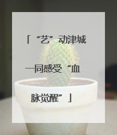 “艺”动津城 一同感受“血脉觉醒”