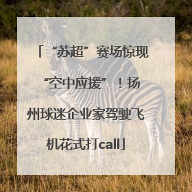 “苏超”赛场惊现 “空中应援”！扬州球迷企业家驾驶飞机花式打call