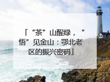 “茶”山醒绿，“悟”见金山：鄂北老区的振兴密码