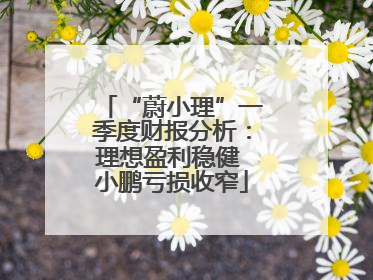 “蔚小理”一季度财报分析：理想盈利稳健 小鹏亏损收窄