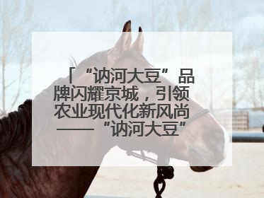 “讷河大豆”品牌闪耀京城，引领农业现代化新风尚——“讷河大豆”品牌新发地推介会圆满落幕