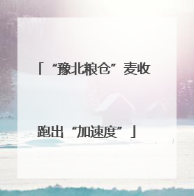 “豫北粮仓”麦收跑出“加速度”