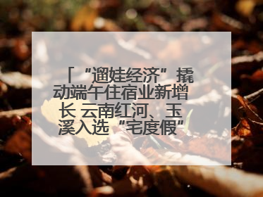“遛娃经济”撬动端午住宿业新增长 云南红河、玉溪入选“宅度假”宝藏小城
