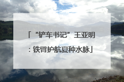 “铲车书记”王亚明：铁臂护航夏种水脉