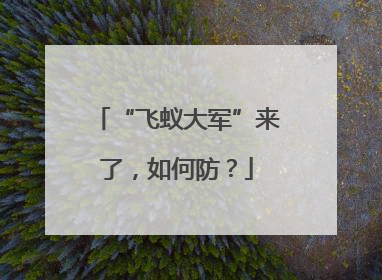 “飞蚁大军”来了，如何防？