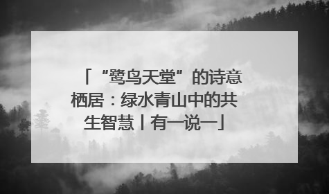 “鹭鸟天堂”的诗意栖居：绿水青山中的共生智慧丨有一说一